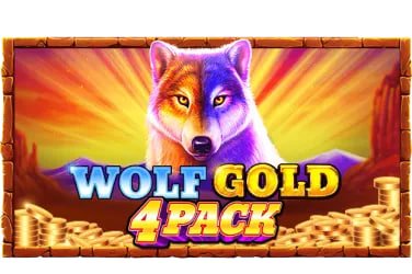 Casino-style game categories available on bingo789 platform